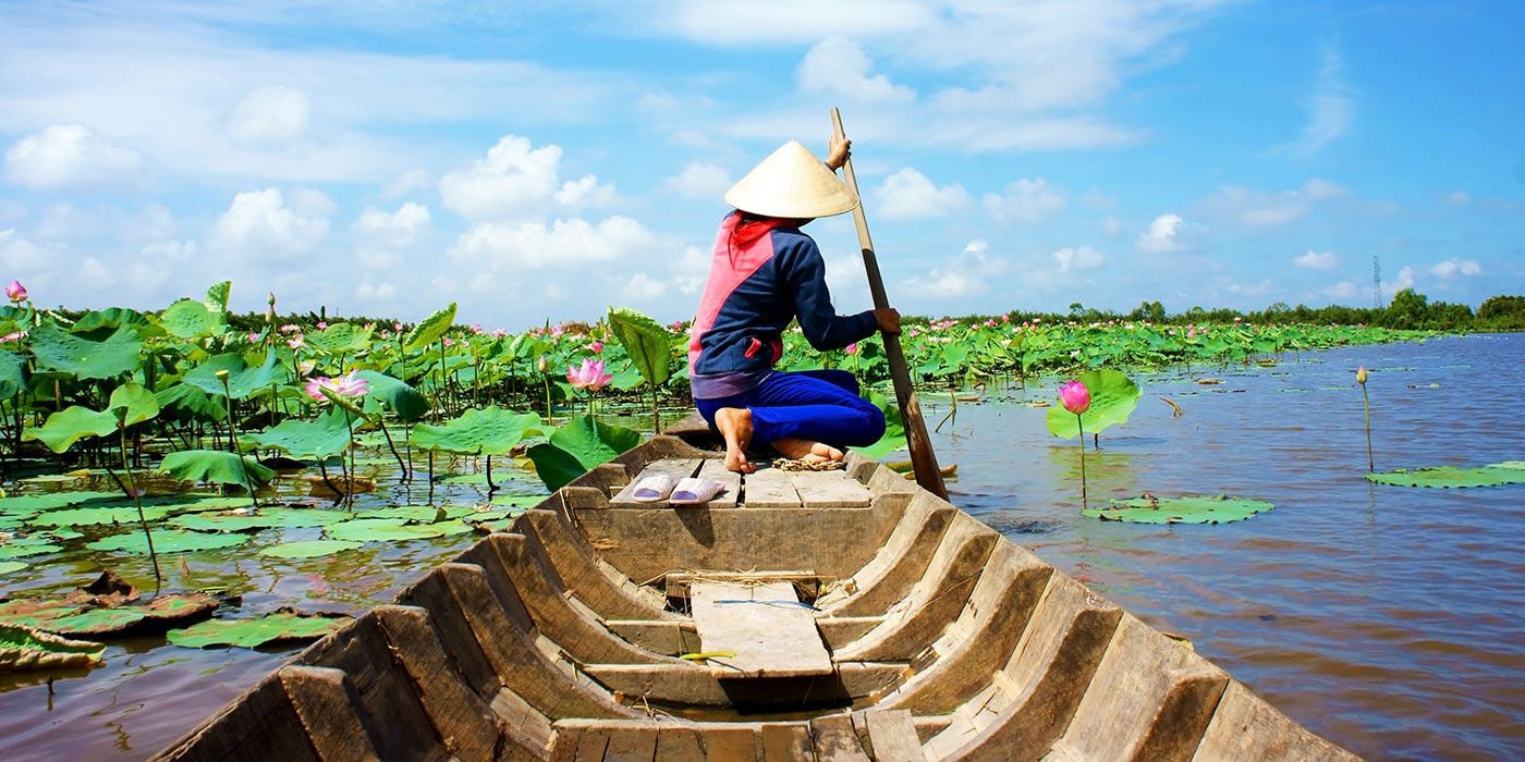SR D lotus flowers Mekong Delta Vietnam