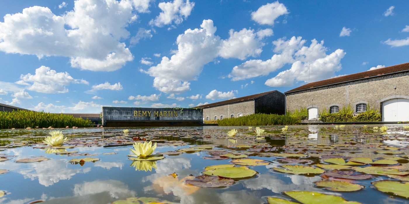 Remy Martin property