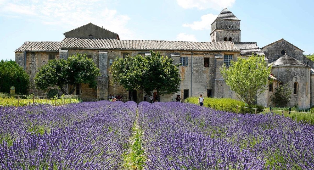 Loyalty Members Cruise Idyllic Rhone