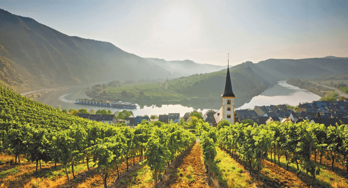 A Taste of the Rhine - A Wine Cruise Image